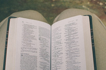 Open Bible on a lap. Isaiah 40 in focus.