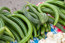 zucchini squash