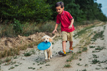 Handsome little boy playing frisbee with his beloved golden retriever puppy dog on countryside road, nature.