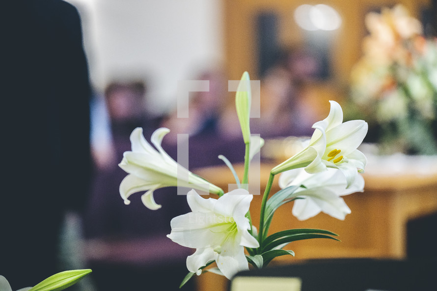 Easter lilies at church 