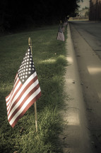 American flags along the curb 