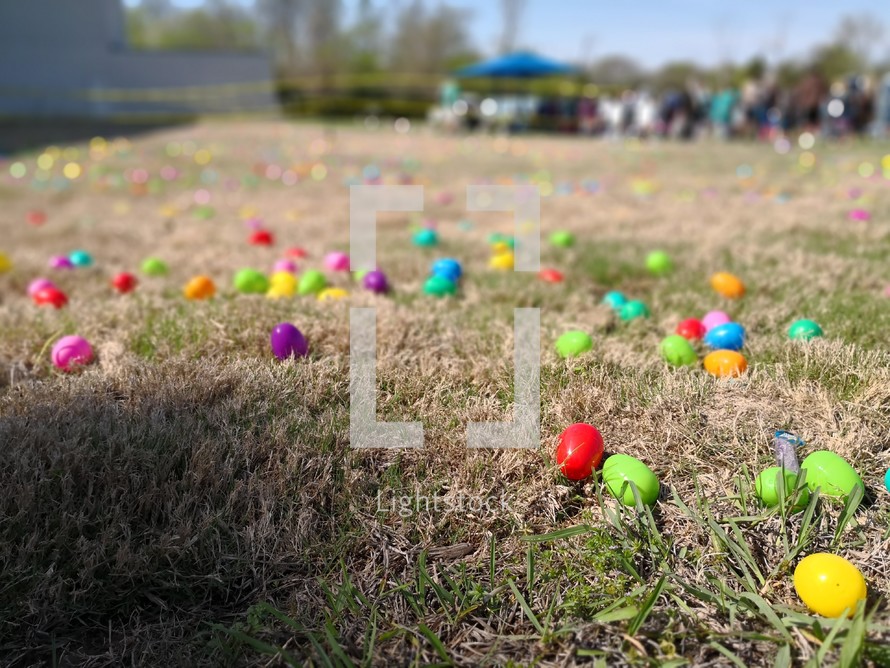 Easter eggs in the grass 