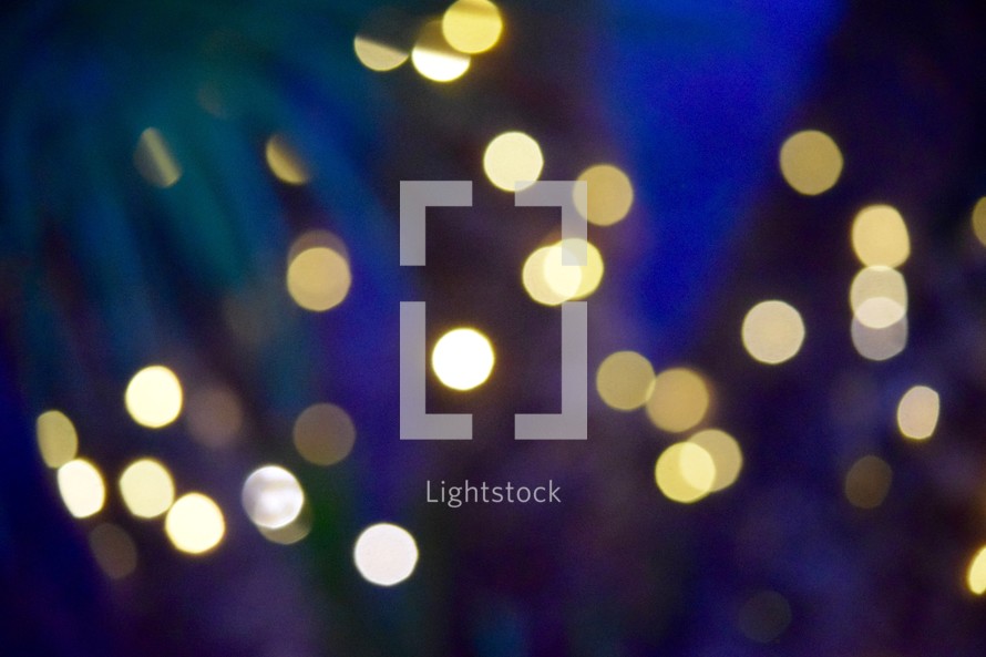 bokeh string of lights around a palm tree on a summer night 