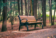 park bench in autumn 