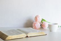 pink peonies and open Bible 