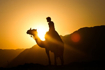 Camel ride at sunset in Egypt.