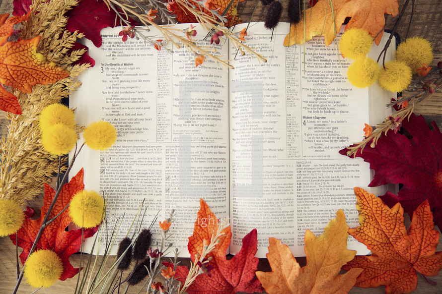 frame of fall leaves around a Bible 
