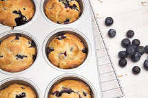 tin of blueberry muffins 