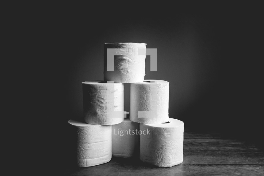 classy black and white toilet paper photo
