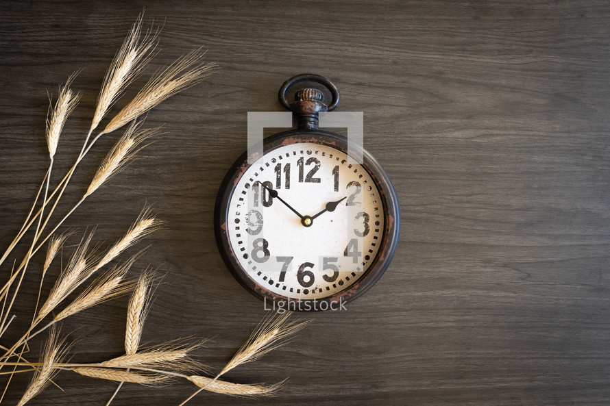 Brown clock and wheat 