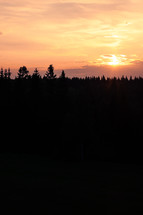 Sunset over the treetops 