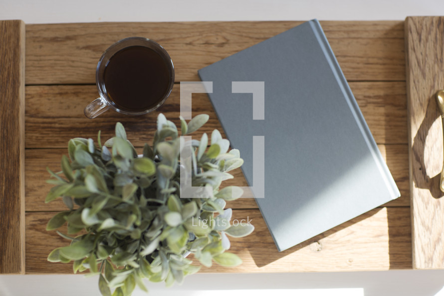 house plant, book, and coffee cup on a wood tray 