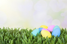 plastic easter eggs in grass 