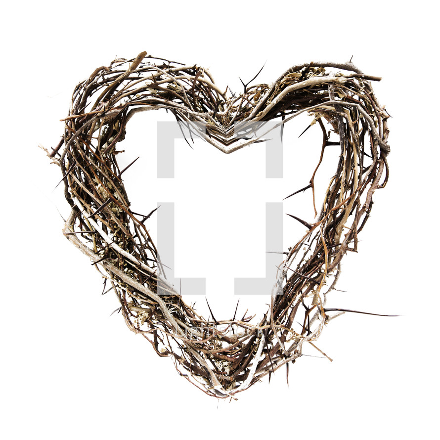 heart shaped thorns 