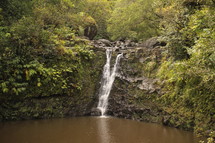 waterfall in a jungle