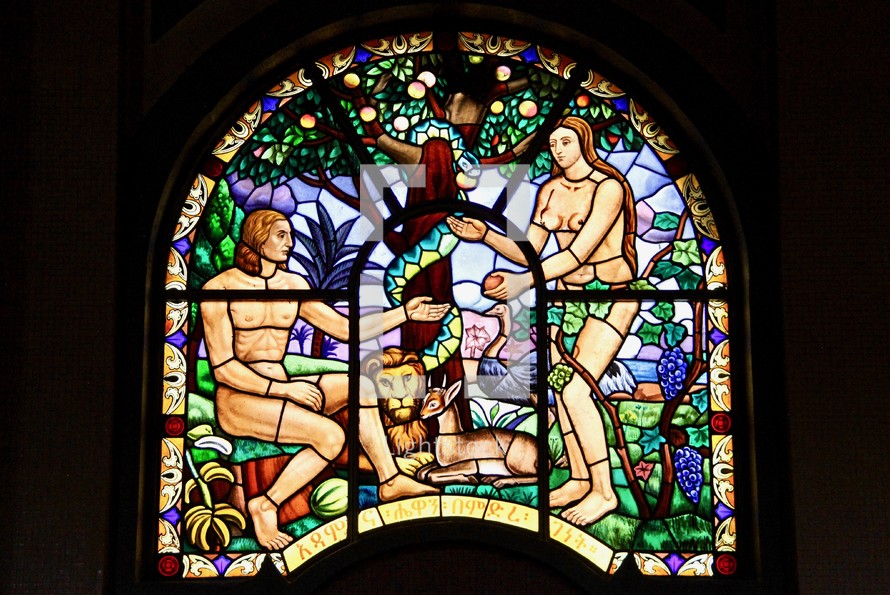Adam And Eve Stained Glass Window — Photo — Lightstock