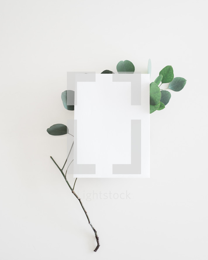 blank paper and stick with leaves 