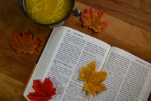 fall leaves on the pages of a Bible and chicken noodle soup 