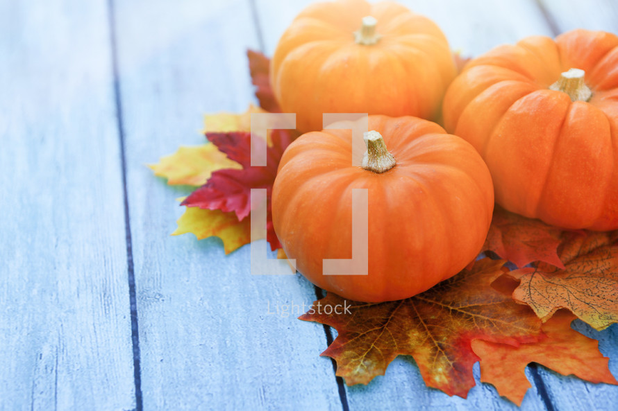 Autumn Thanksgiving Background with Copy Space