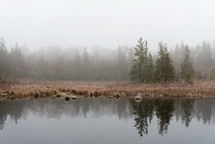 lake shore and fog 
