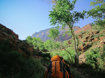 hiking a canyon trail 