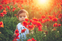 a toddler in a field of poppies 