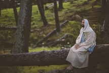 Jesus sitting alone in a forest 