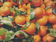 clementines 