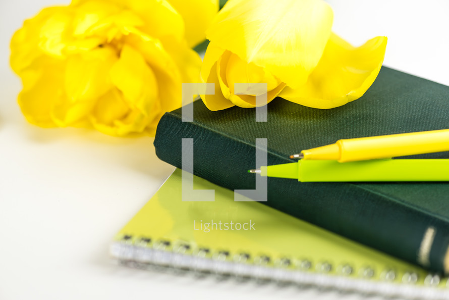 yellow flowers on a Bible, pen, journal, spring Bible study 