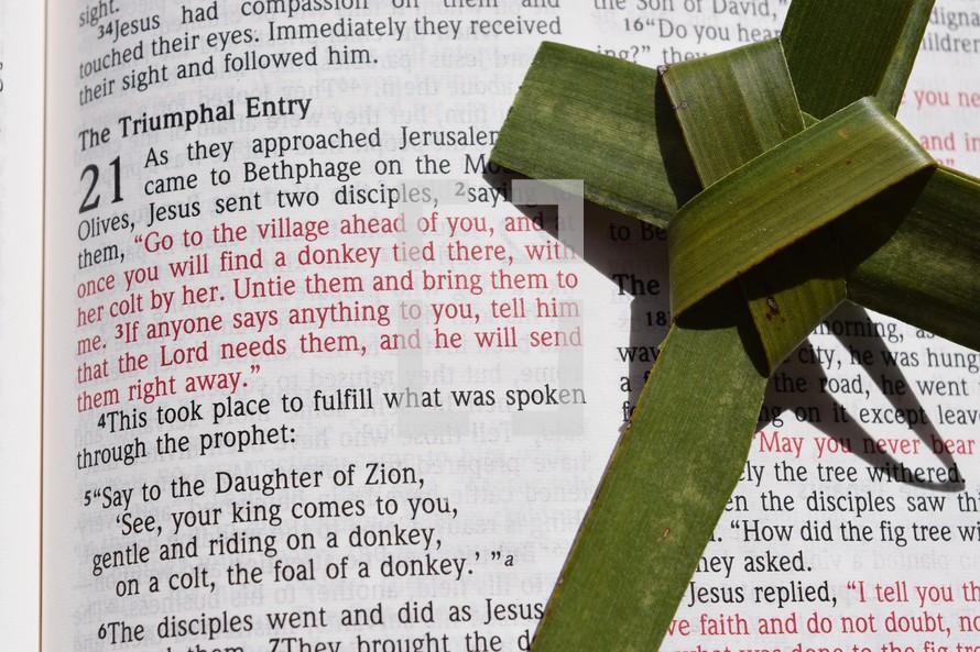 Palm Sunday scripture, Matthew 21: 1-11, The Triumphal Entry 