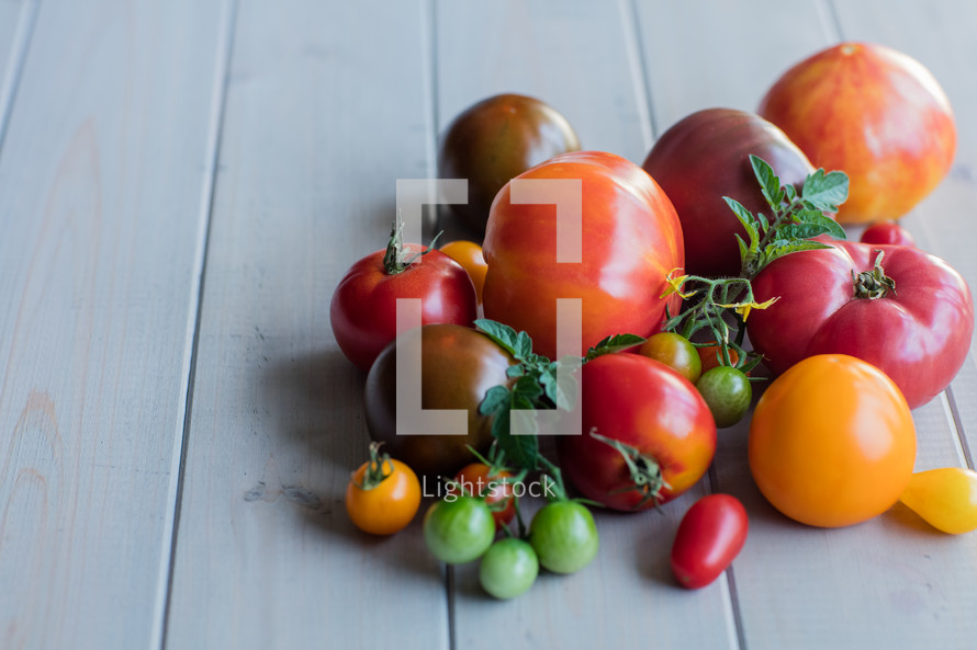 tomato varieties 