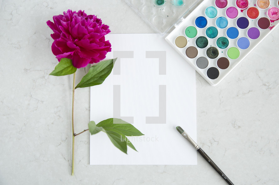 paint brush, white paper, watercolors, and fuchsia flower