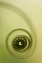 spiral 