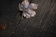 fall leaf on wood deck 