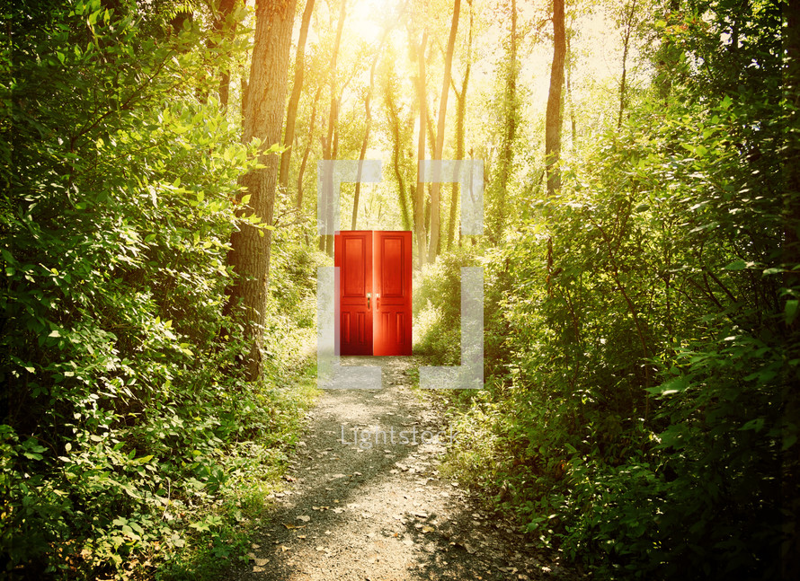 a door in a forest 