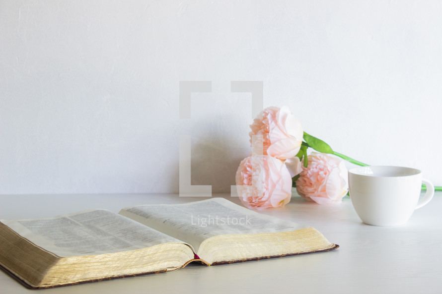 pink peonies and open Bible 