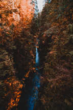 waterfall in a fall forest 
