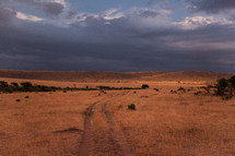 worn path through the savanna 