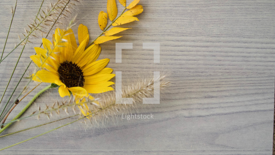 fall flowers on a wood background 