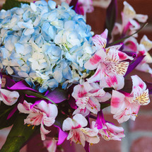 closeup of a bouquet of blue and pink flowers