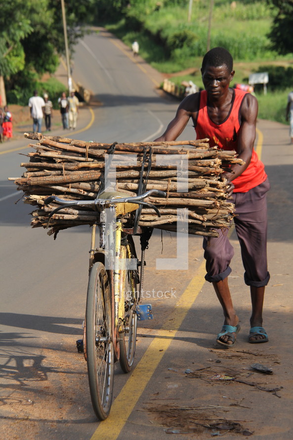 An African  man carrying a bundle of sticks on a bicycle 