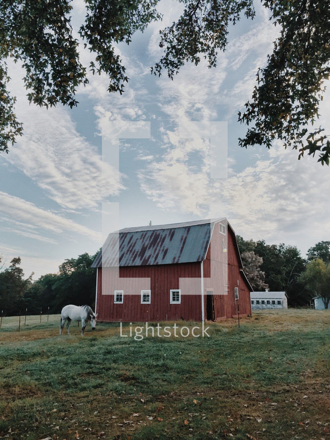 a horse grazing in front of a red barn 