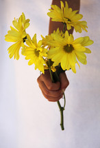 Girl's hand holding a bouquet of yellow daisies.