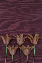 lilies on a wood background 