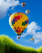 rising hot air balloons in a blue sky and green grass 