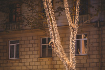 Christmas illuminated tree and windows in the street