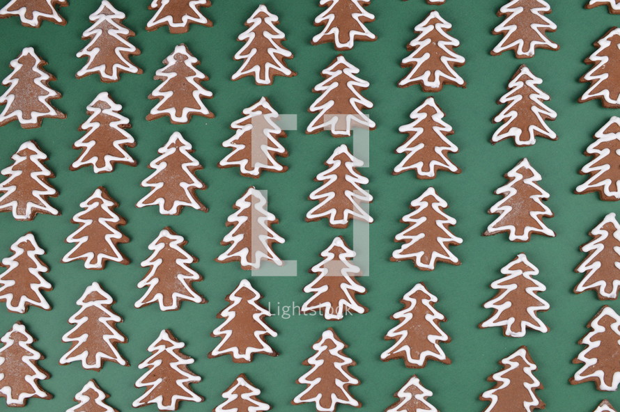 Christmas tree shaped gingerbread cookies 