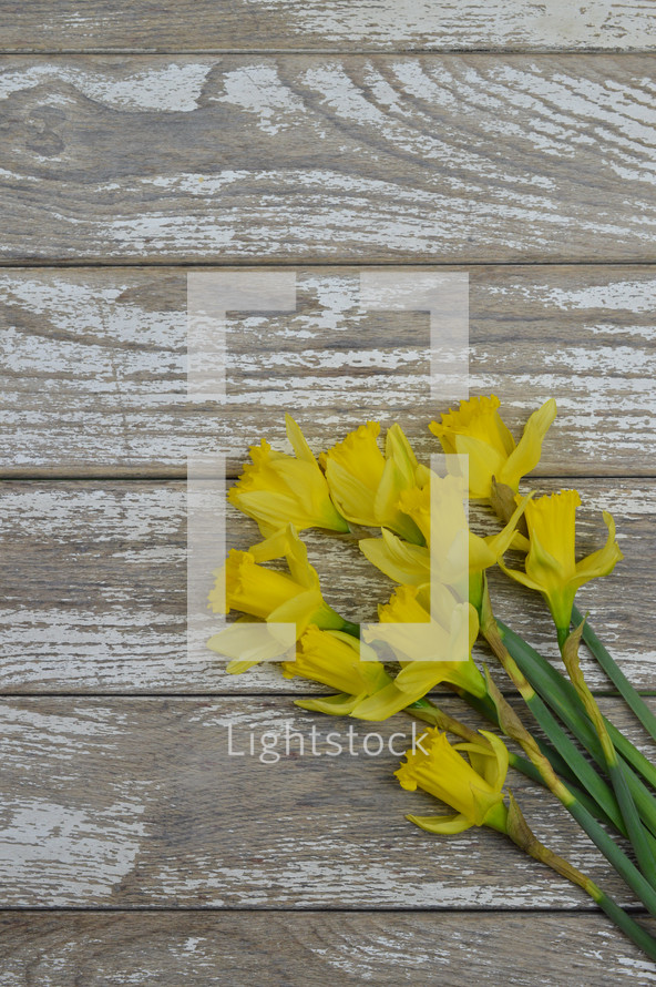 yellow daffodils on a wood background 
