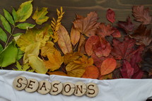 colorful autumn leaves in color gradient on brown wood with the word SEASONS in wooden pieces on white cloth