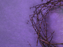 crown of thorns on a purple background 